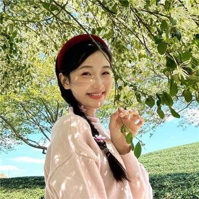 消失的大象