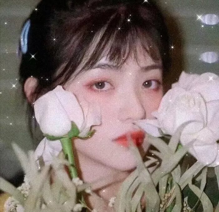 狼嚎再起