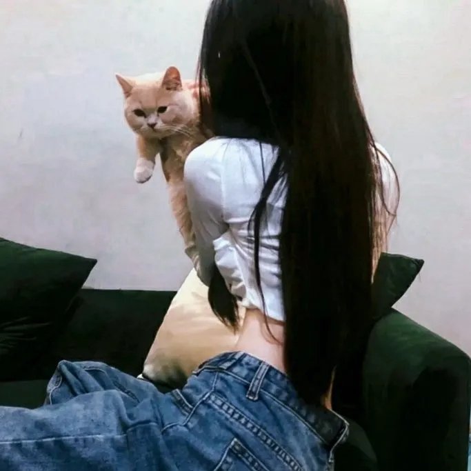 麻烦专家 在线观看